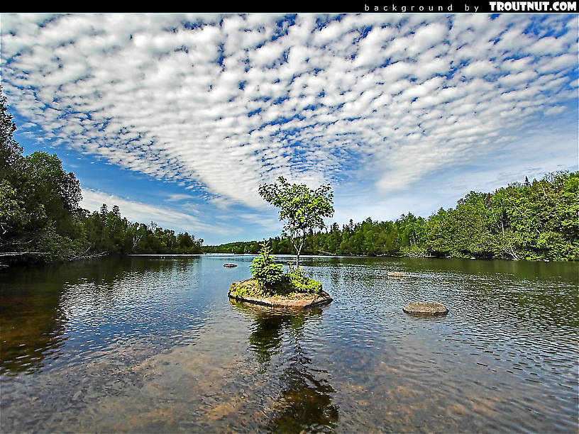 Free Desktop Backgrounds Hi Res Nature Photography