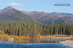  From the Jim River in Alaska.