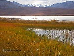  From Galbraith Lake in Alaska.