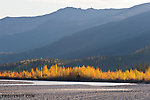  From the Middle Fork of the Koyukuk River in Alaska.