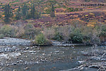  From the Dietrich River in Alaska.