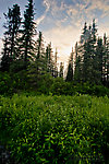  From the Gulkana River in Alaska.