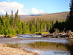  From the Chena River in Alaska.