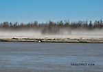 These dust storms are a common sight on the Tanana whenever it hasn't rained for several days.  The river's channel, mostly over a mile wide, consists mostly of vast bars of dry gravel and glacial silt that's easily kicked up by the wind. From the Tanana River in Alaska.