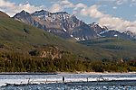 An anonymous dipnetter works the bank near the access point at O'Brien Creek. From the Copper River in Alaska.