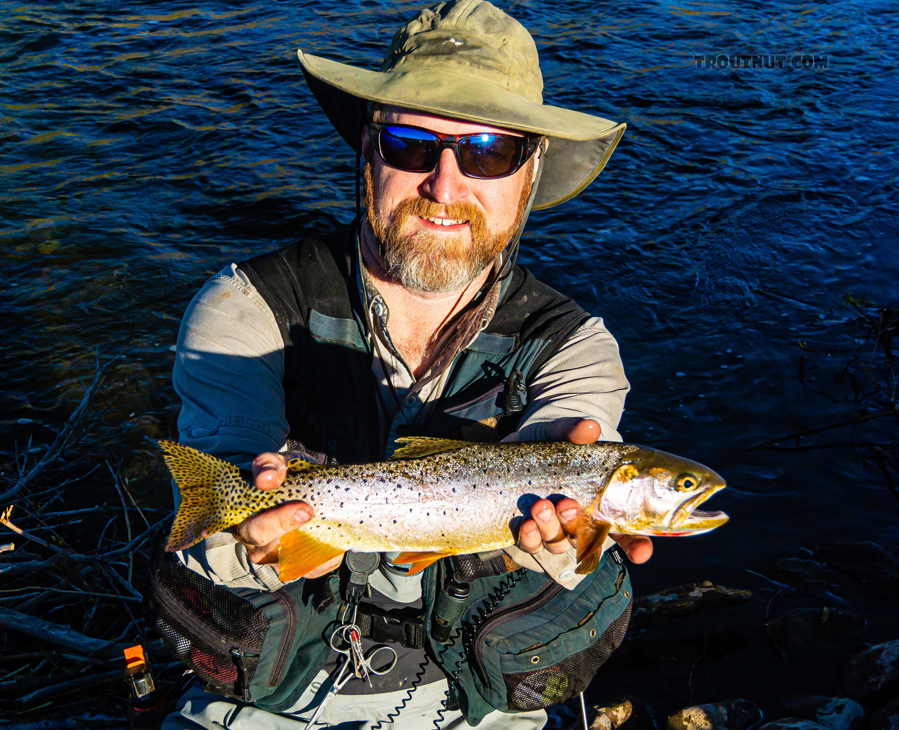 My first Bonneville Cutthroat (17 in) From the Mystery Creek # 274 in Wyoming.