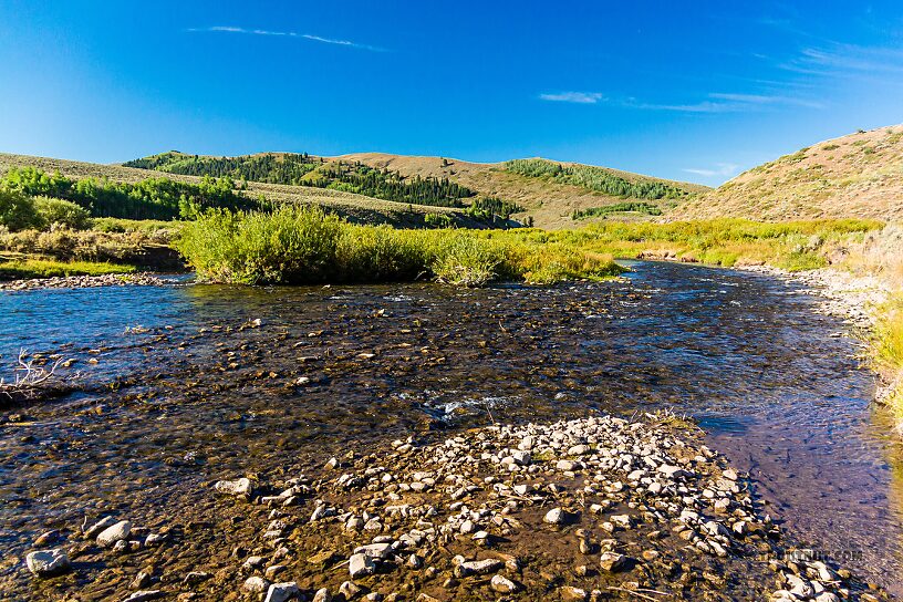  From the Mystery Creek # 274 in Wyoming.