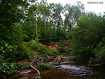  From the Marengo River above Four Corners Store Road in Wisconsin.