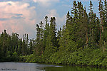  From the Bois Brule River in Wisconsin.