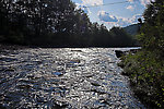  From Schoharie Creek in New York.