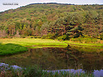  From the East Branch of Trout Brook in New York.