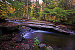  From Sixmile Creek in New York.