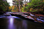  From Sixmile Creek in New York.