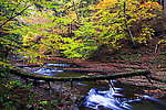  From Sixmile Creek in New York.