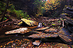  From Sixmile Creek in New York.