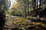 Lena fishes a brookie hole. From the Mystery Creek # 23 in New York.