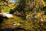 I've caught several brookies in this hole, although on the day of this photograph I found none. From the Mystery Creek # 23 in New York.