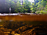 This above/below shot has Gonzo fishing on top and a beautiful tea-stained little Pocono stream on the bottom. From Mystery Creek # 42 in Pennsylvania.