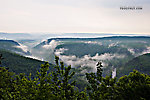 Here's the valley of a trout stream after a rainstorm. From Penn's Creek in Pennsylvania.