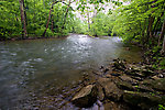  From Fishing Creek in Pennsylvania.