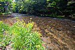  From Fishing Creek in Pennsylvania.