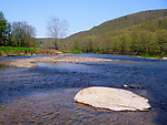  From the West Branch of the Delaware River in New York.