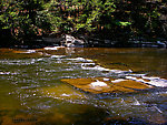  From the Neversink River Gorge in New York.