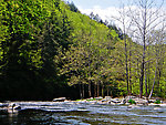  From the Neversink River Gorge in New York.