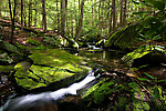  From Neversink Gorge (Wolf Brook) in New York.