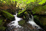  From Neversink Gorge (Wolf Brook) in New York.