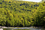  From the Neversink River Gorge in New York.