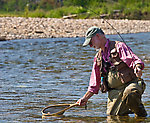 My dad nets a grayling. From the Chena River in Alaska.