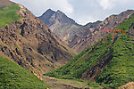 This is the first grizzly bear I've seen.  It's in Denali National Park.  People with long-range binoculars, plus the view through a couple spotting scopes the park installed at this stop, verified that the little light spot my arrow is pointing to is, in fact, a grizzly bear.  This is the closest view I got. From Denali National Park in Alaska.