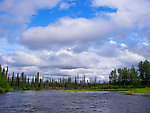  From the Gulkana River in Alaska.