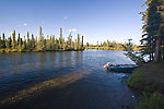 Unfortunately the lighting didn't allow me to show it very well in my photos (though you can kind of see it here), but this is probably the clearest river I've ever seen, and definitely the clearest of its impressive size. From the Delta Clearwater River in Alaska.