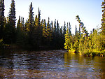  From the Delta Clearwater River in Alaska.