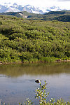  From the Gulkana River just below Summit Lake in Alaska.