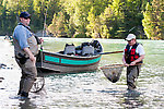  From the Kenai River in Alaska.