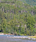 Even when it's not the peak of the salmon season, the Kenai is pretty crowded. From the Kenai River in Alaska.