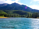  From the Kenai River in Alaska.