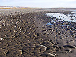 A muddy, mile-wide cobble bar on the very lower Sagavanirktok (or "Sag") River. From the Sagavanirktok River in Alaska.