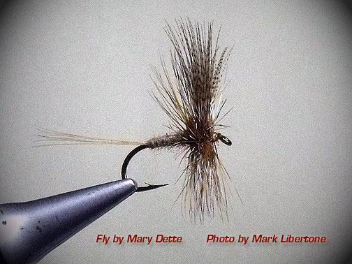 A Perfect Catskill Dry Fly