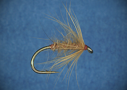 Tiemco TMC 3769 Nymph & Wet Fly Hooks
